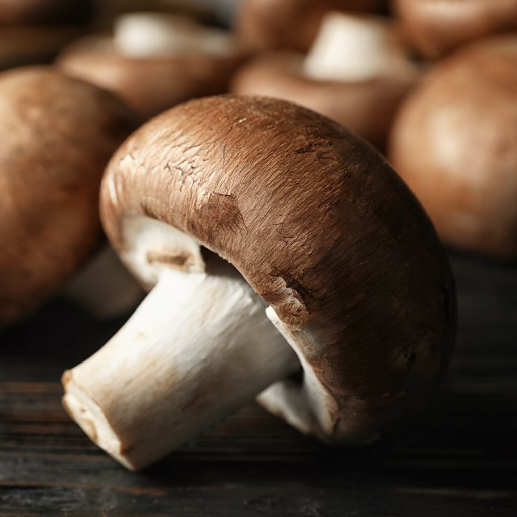 Žampiony jsou pravděpodobně nejznámější a nejpoužívanější houby.