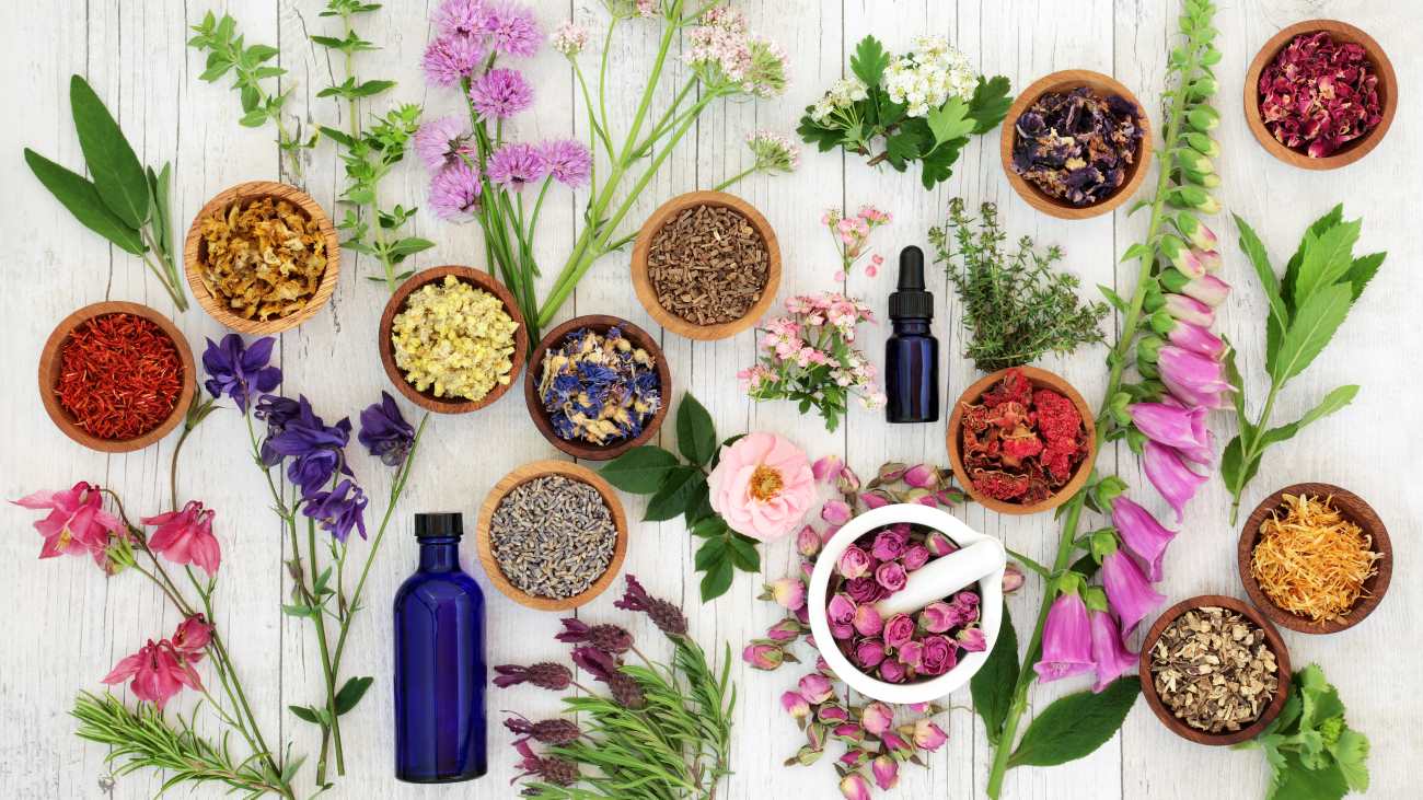 Essbare Blüten: Infos, Tipps und Rezepte